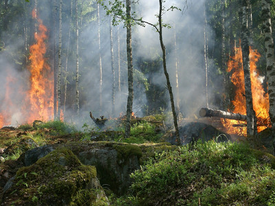 Waldbrandgefahr – Grillstellen gesperrt!